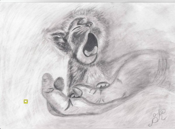 Егор Матита портреты карандашом