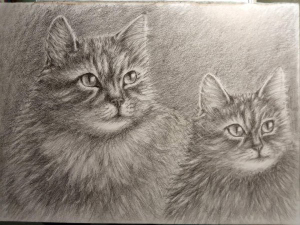 Художник Егор Матита