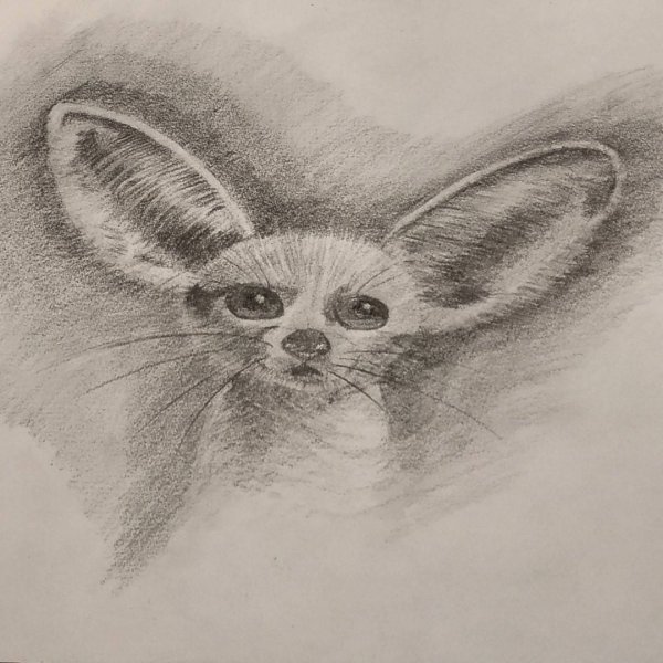 Егор Матита марафон