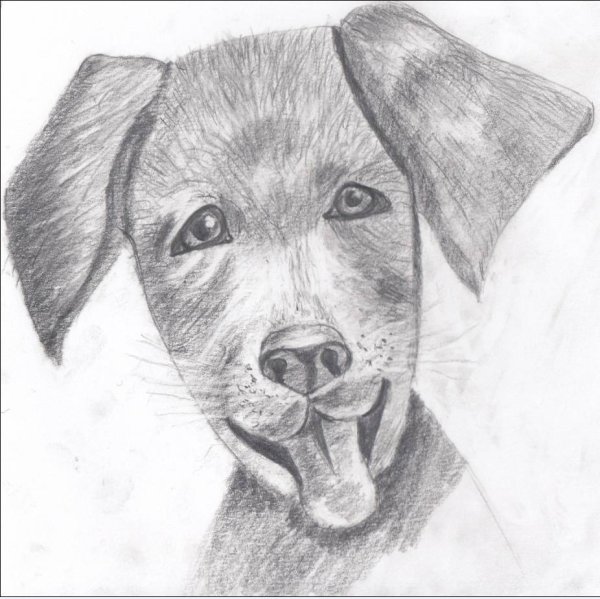 Рисунки Егора Матита красками