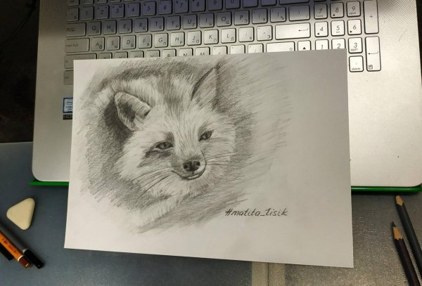 Картины Егора Анцупова