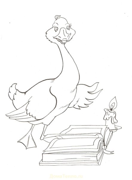 Раскраска к сказке карлик нос в Гауф