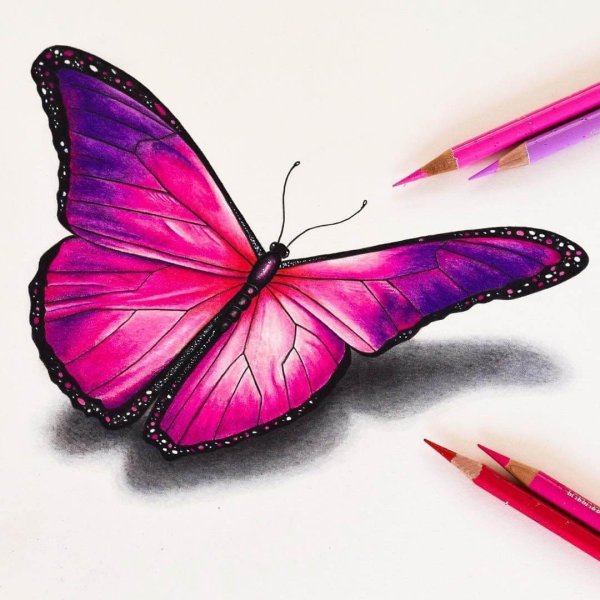 Красивые рисунки цветные