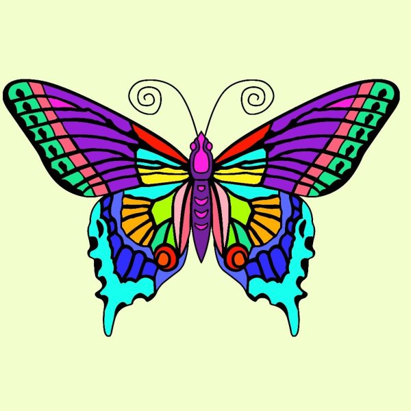 Бабочка цветными карандашами