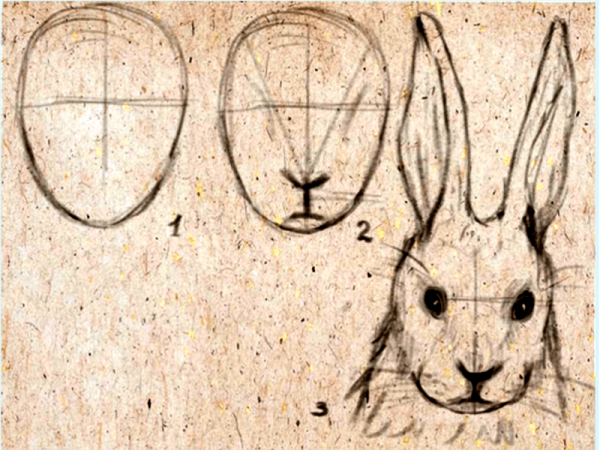 Рисование мордочки зайца