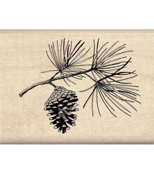 Лиственница карандашом