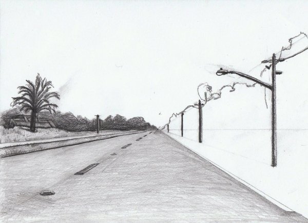 Линейная перспектива дорога и деревья