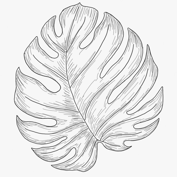 Тропические листья трафарет