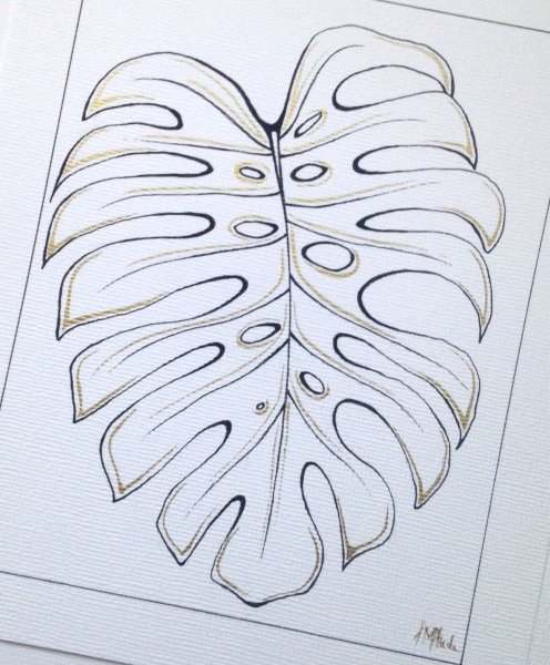 Лист монстеры рисунок трафарет