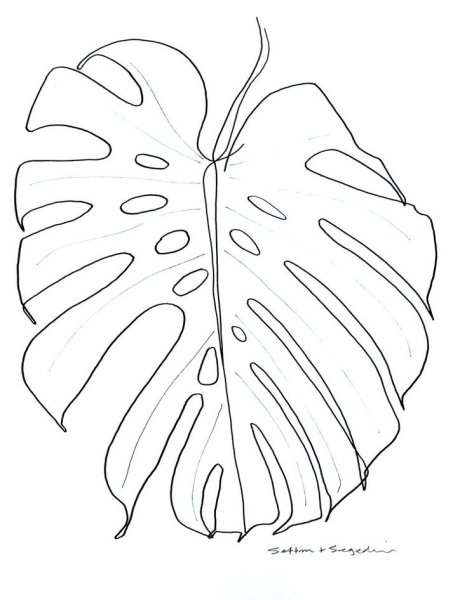 Монстера трафарет