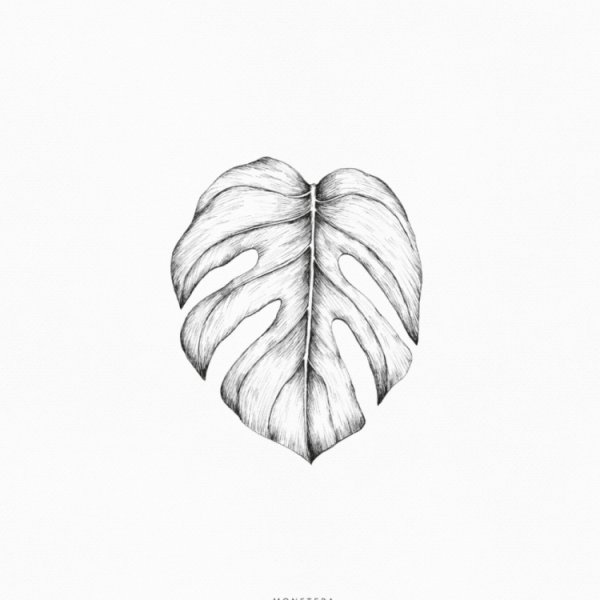 Тату листья эскизы