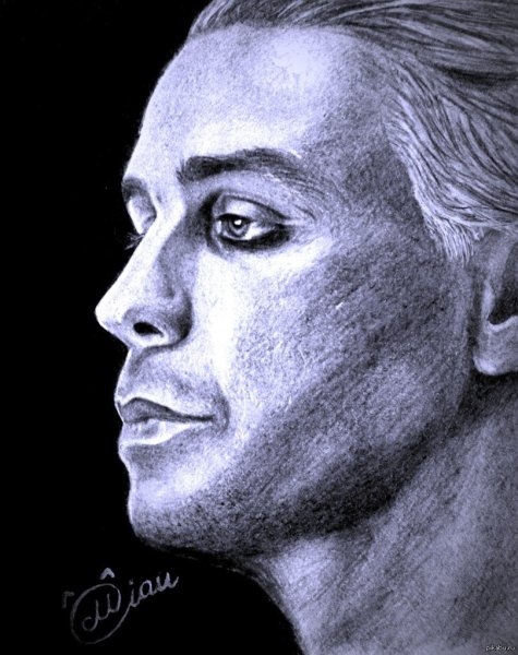 Тилль Линдеманн рисунок