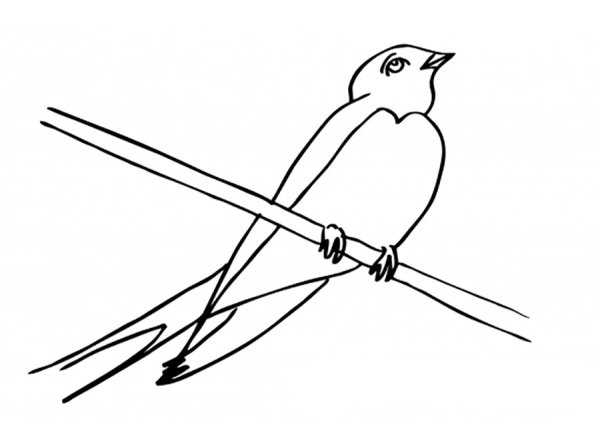 Ласточка раскраска