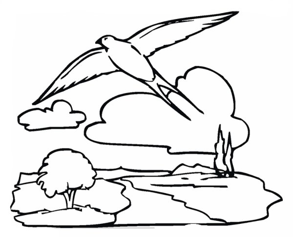Птицы в небе раскраска