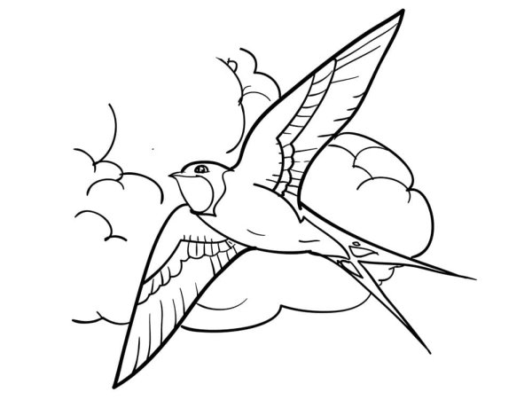 Ласточка раскраска для детей