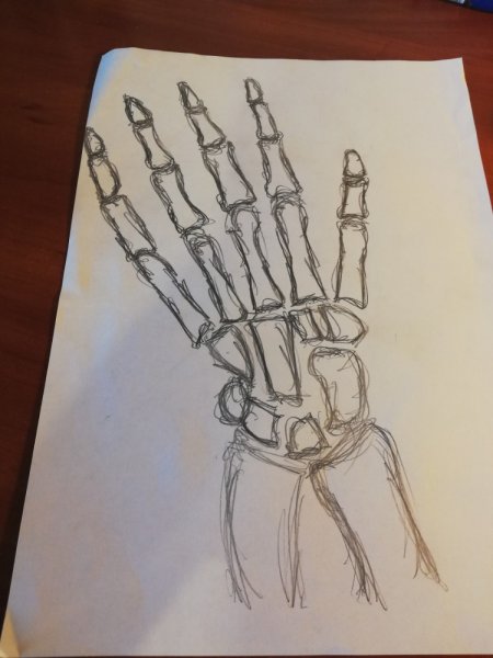 Рука скелета для срисовки