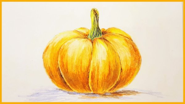 Тыква рисунок цветными карандашами