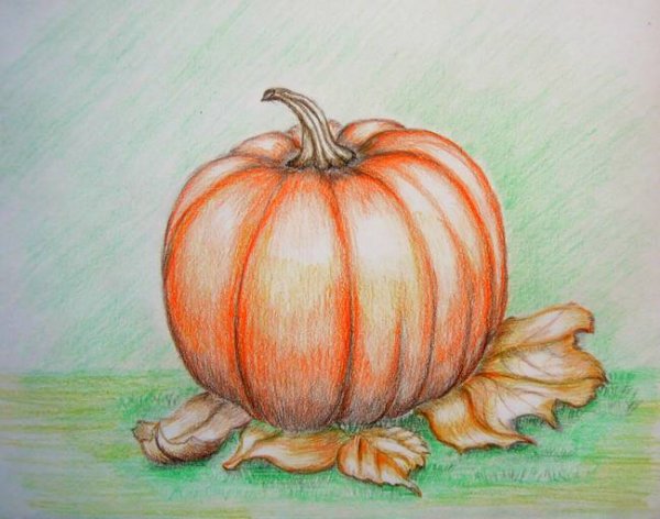 Тыква цветными карандашами