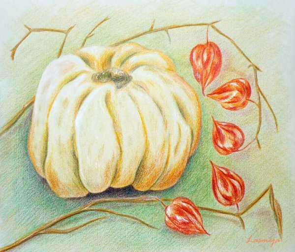 Физалис сангиной