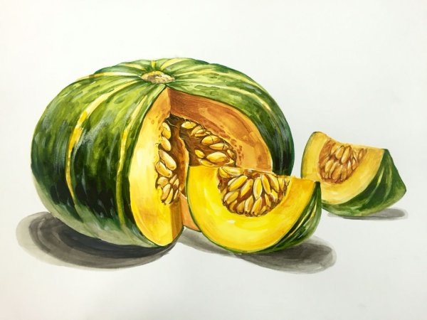 Рисунки цветными карандашами акварельными тыквы