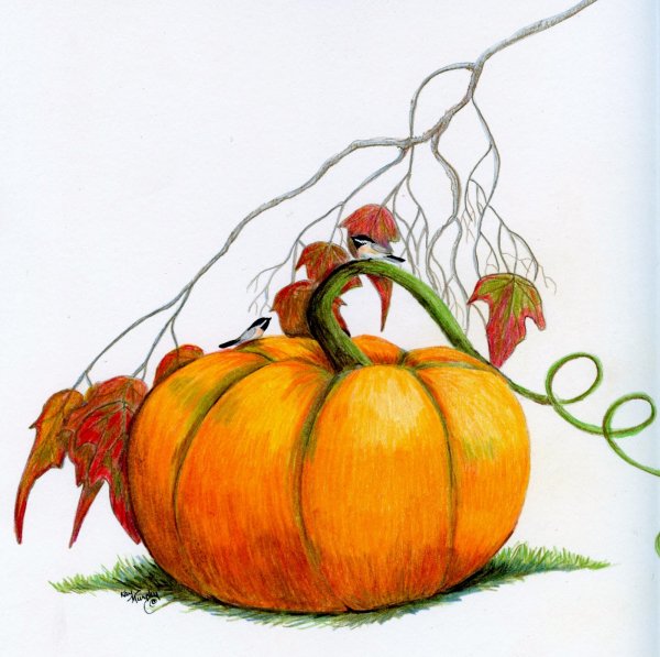 Тыква рисунок