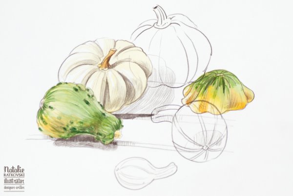 Патиссон акварелью