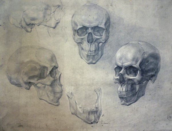 Академический рисунок Академия Репина череп