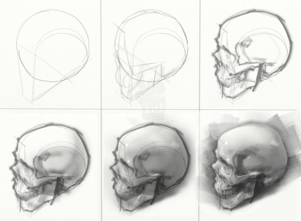 Этапы рисования черепа