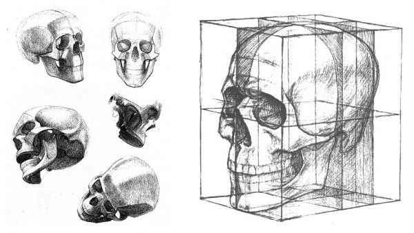 Баммес обрубовка головы