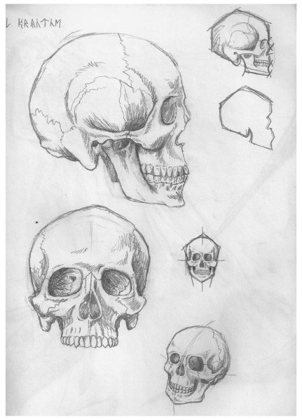 Скетч череп сбоку