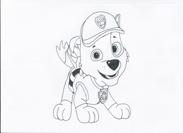 Рокки Щенячий патруль раскраска