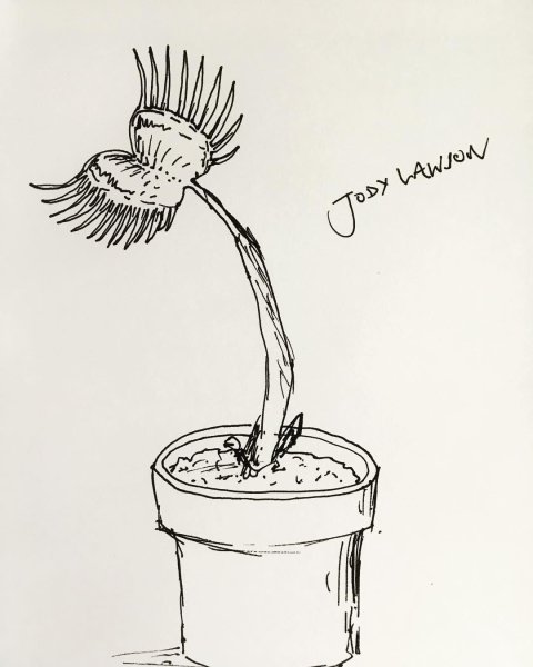 Венерина мухоловка эскиз тату