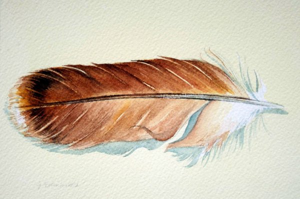 Перо для рисования