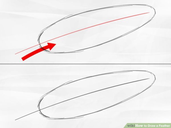 Нарисованное овальное перо