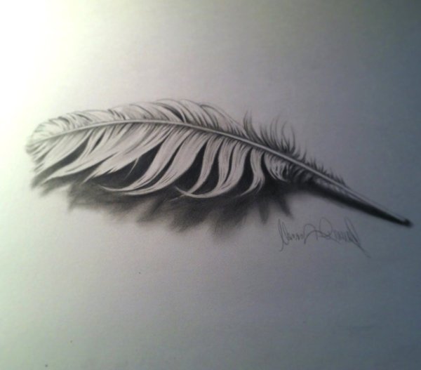 Перо карандашом