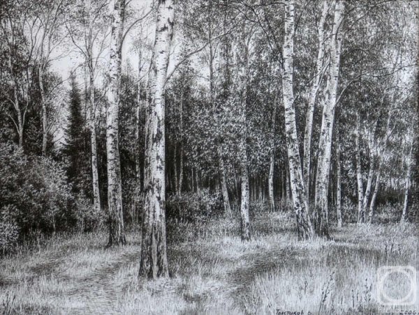 Береза Графика