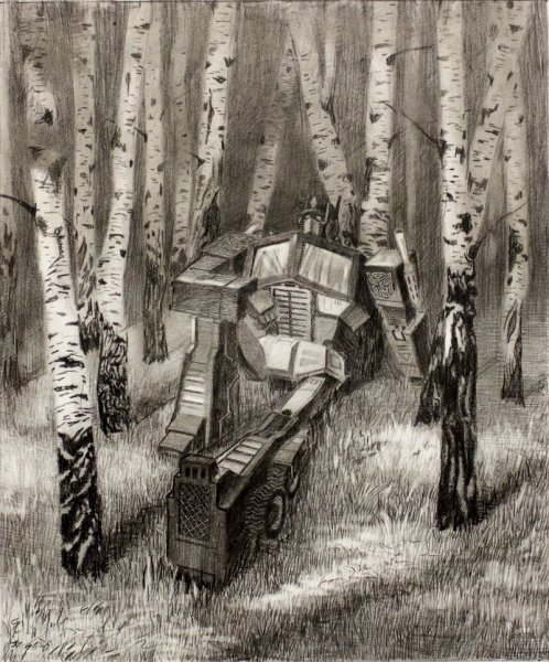 Березовая роща карандашом