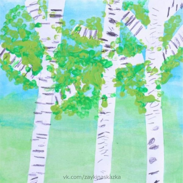 Береза рисунок