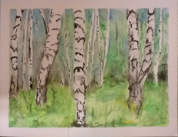 Березовая роща рисунок для детей