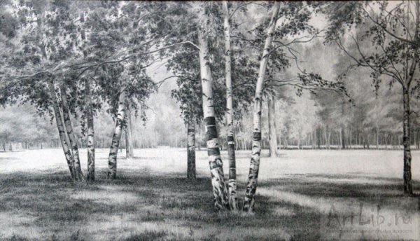 Рисование Березовая роща в подготовительной группе