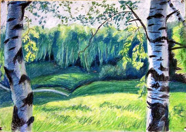 Раскраска березовый лес