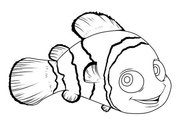 Рыба клоун разукрашка
