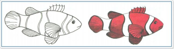 Как нарисовать рыбу клоуна