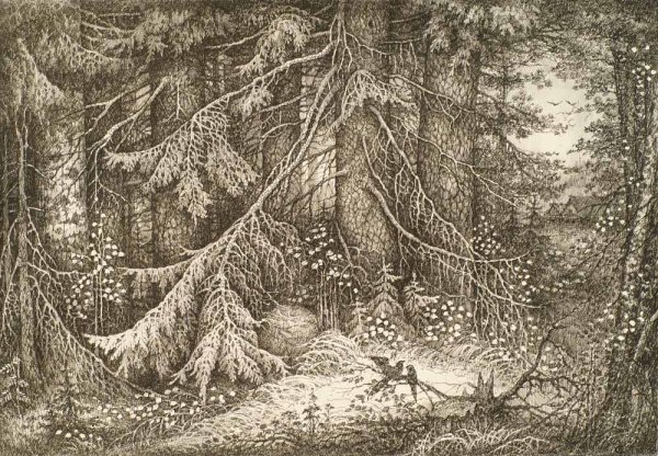 Лес в графике