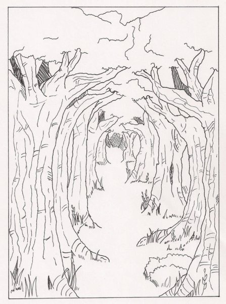 Дремучий лес карандашом