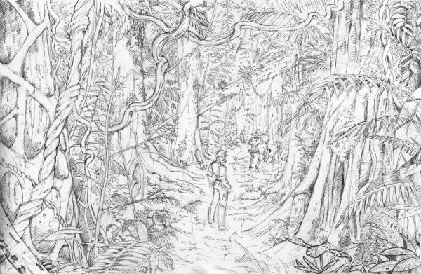 Лесная чаща карандашом