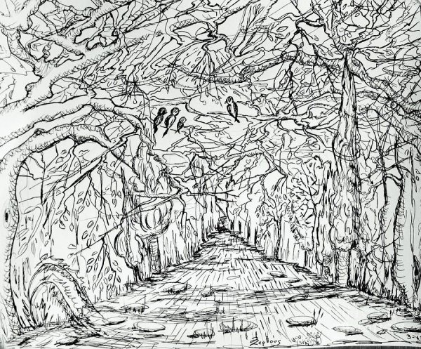 Осенний лес Графика