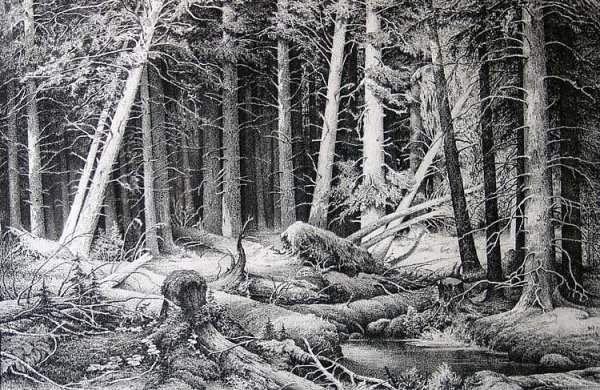 Шишкин Иван Иванович бурелом