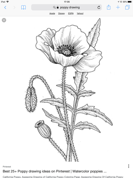 Маки раскраска для детей