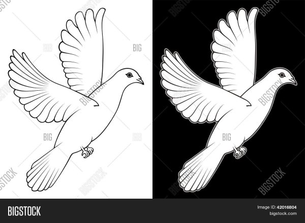 Маленькие голуби для распечатки